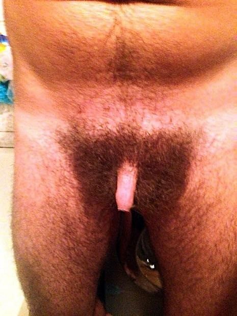 мой пенис волосатый большой
