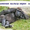 на природе