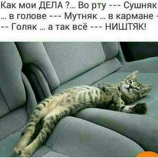 Я)))