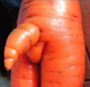 00000000000000000000000000000000000000000000000000000000