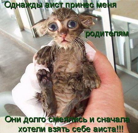 Как то так
