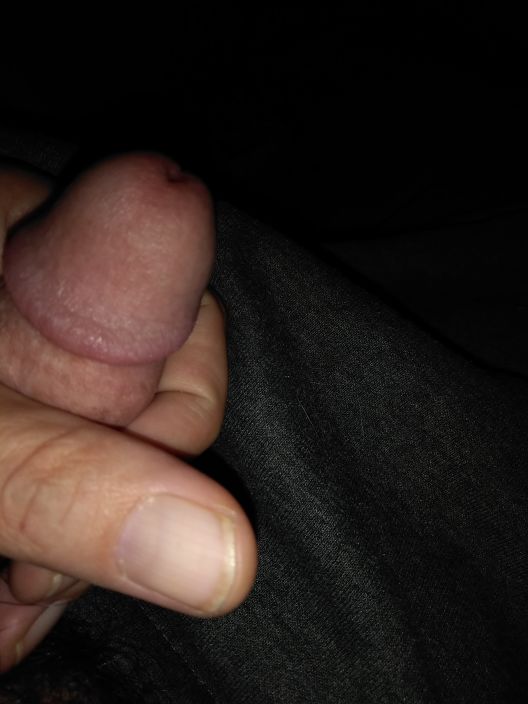 My cock dick penis cockette