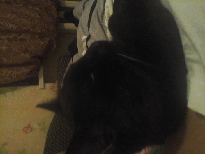 ну как то так