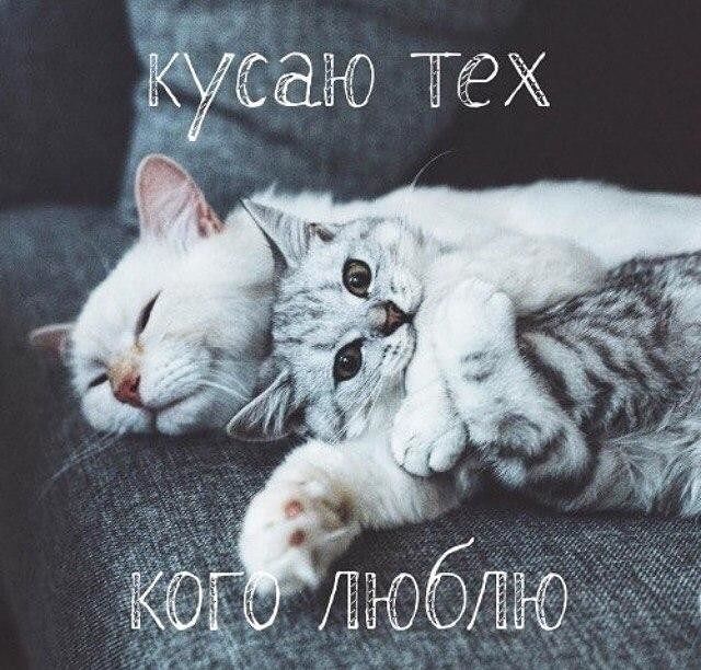 Нежно-Нежно) ^_^