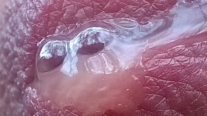 ..полилася жизнь