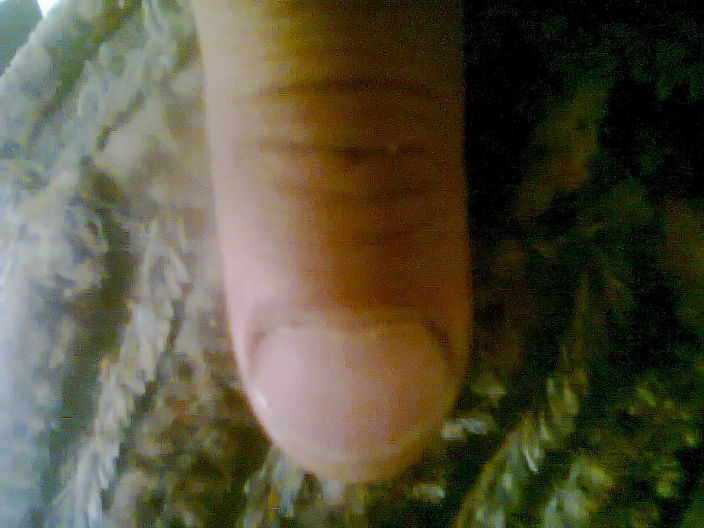 всем привет