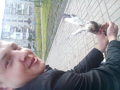 я я и еще раз я