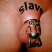 slave in  chastis