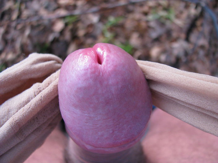 cock13