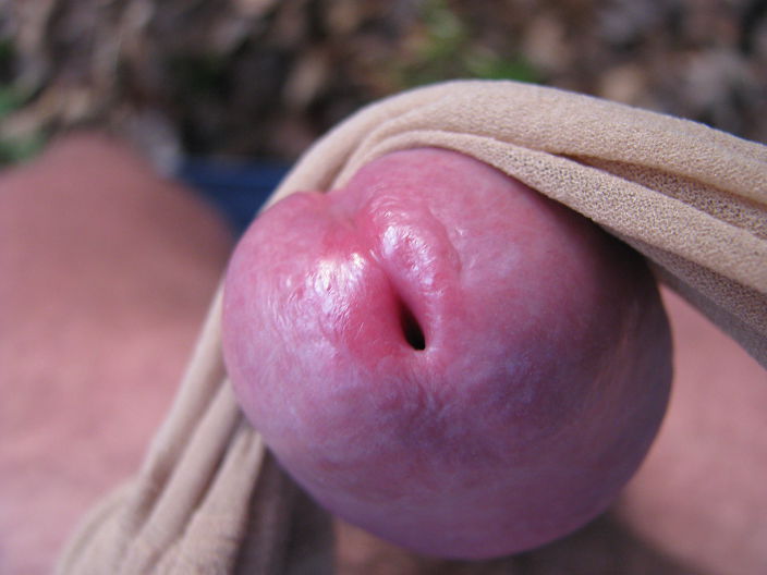 cock12