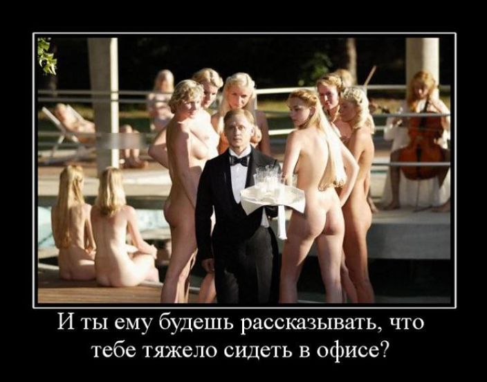 пипипипип