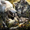 Волки