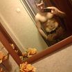 body