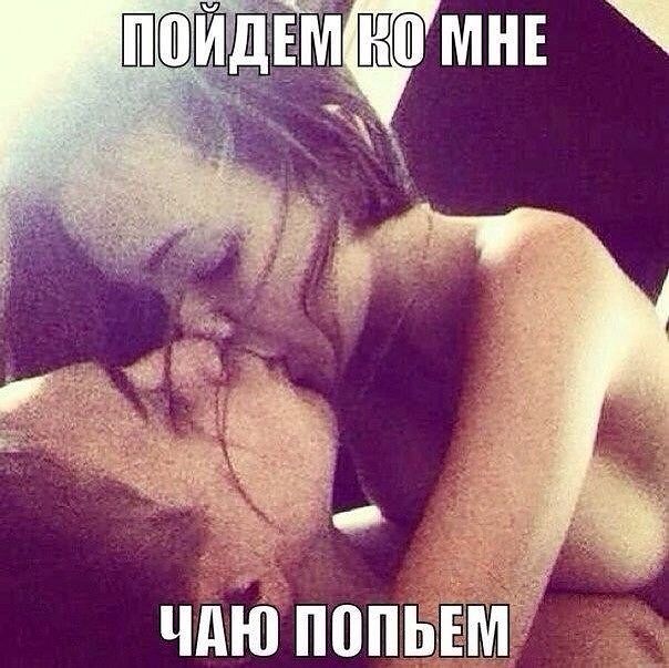 покищот не я