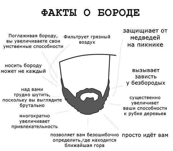 борода