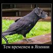 )))