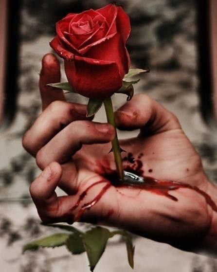 Роза с шипами - боль и страдание...