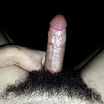 hairy cock