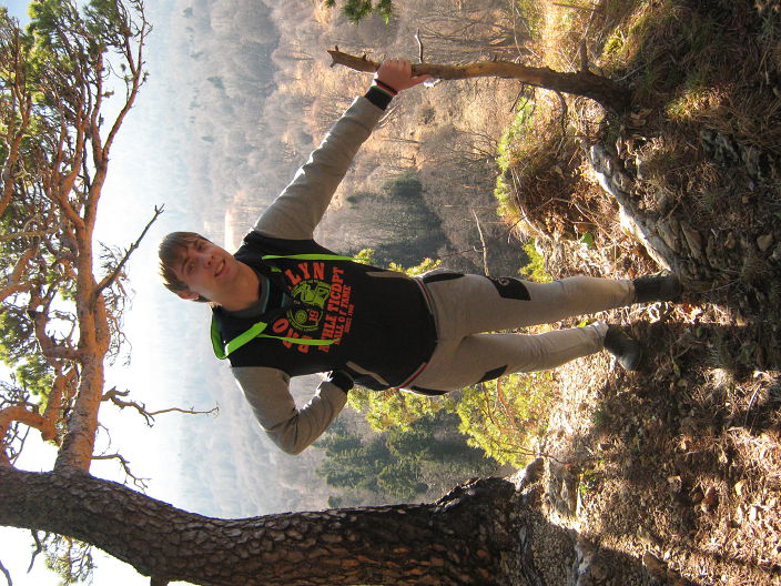 В гузерипле