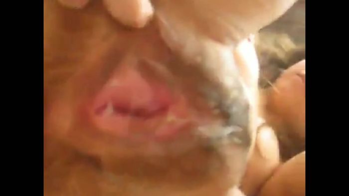 Красивая Малолетка показует пизду во всех мелочах