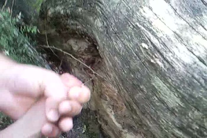 Ммм обожаю это