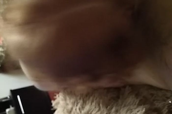 С новым годом