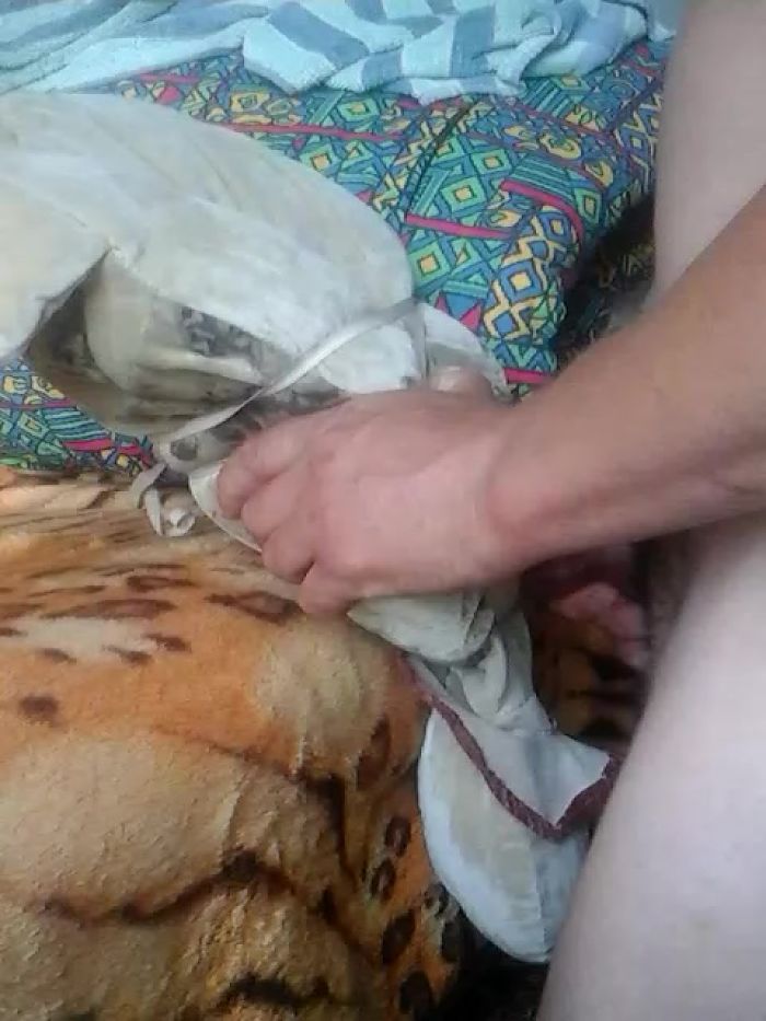 развлекуха