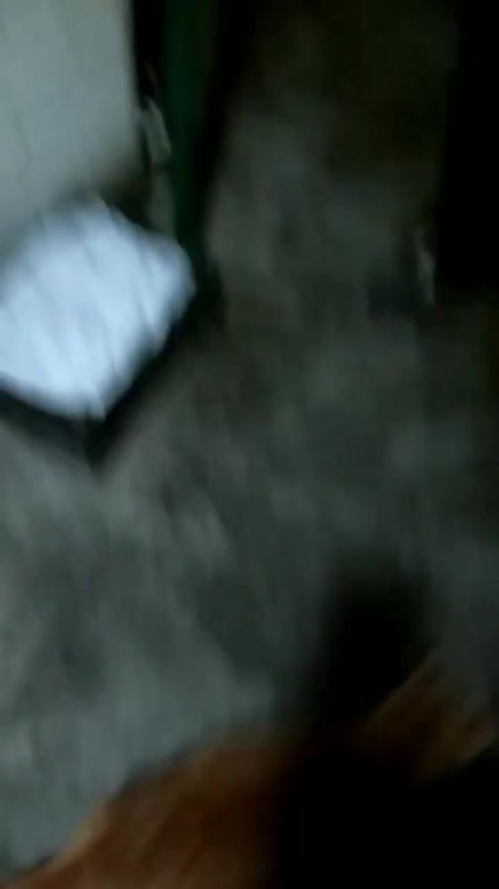 Я и кот на видео.