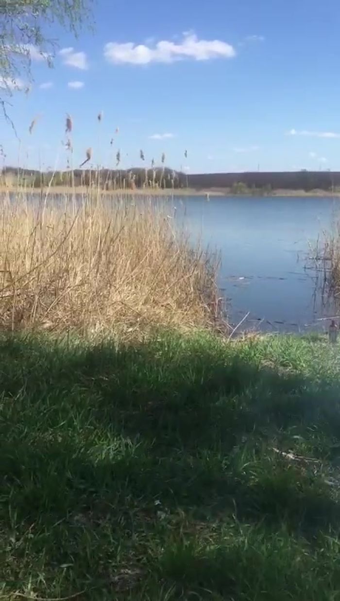 как правельно надо жарить