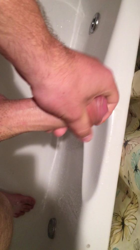 Мой красавец