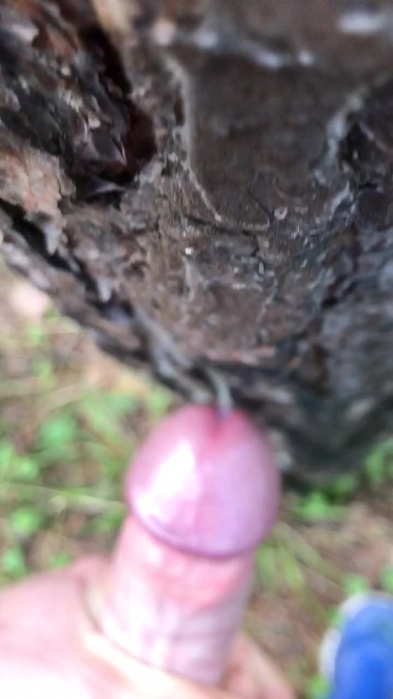 В лесу кончил