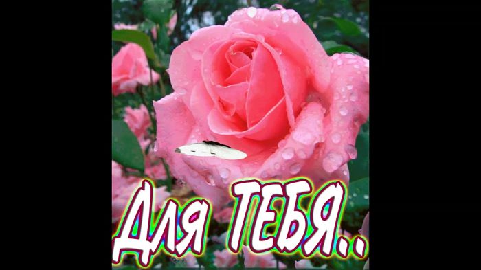 Муж попросил подрочить на жену.