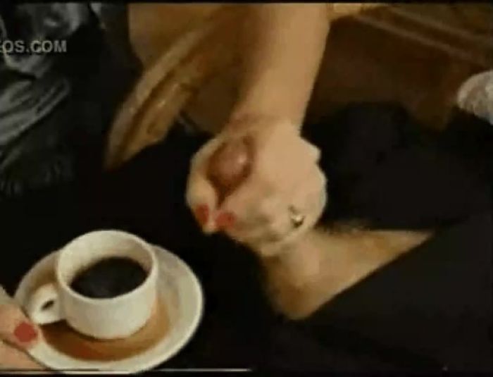 Cum in coffee