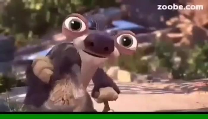 мои видео