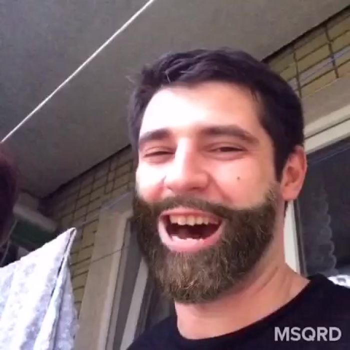 Если бы мишки были пчёлами...