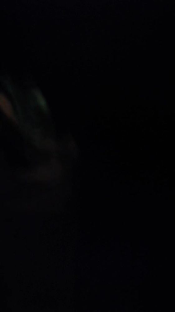 Обмен видео пишите телефон