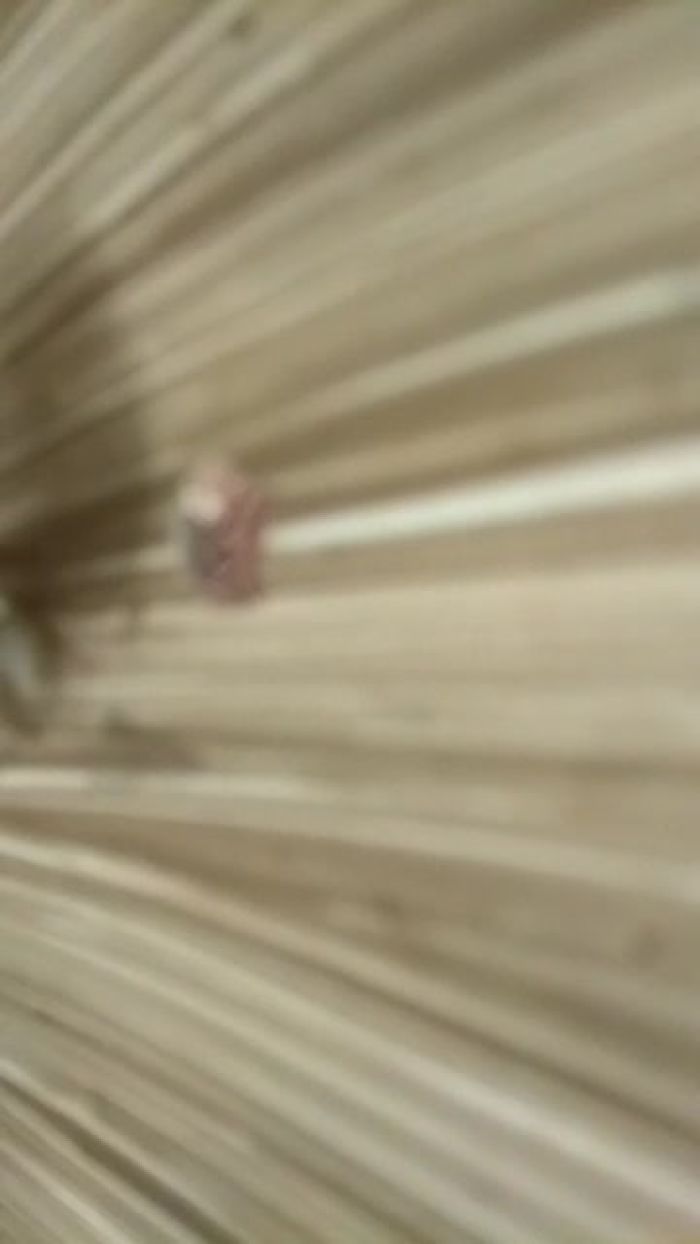 Соседка в ванной! Я бы ее трахнул.