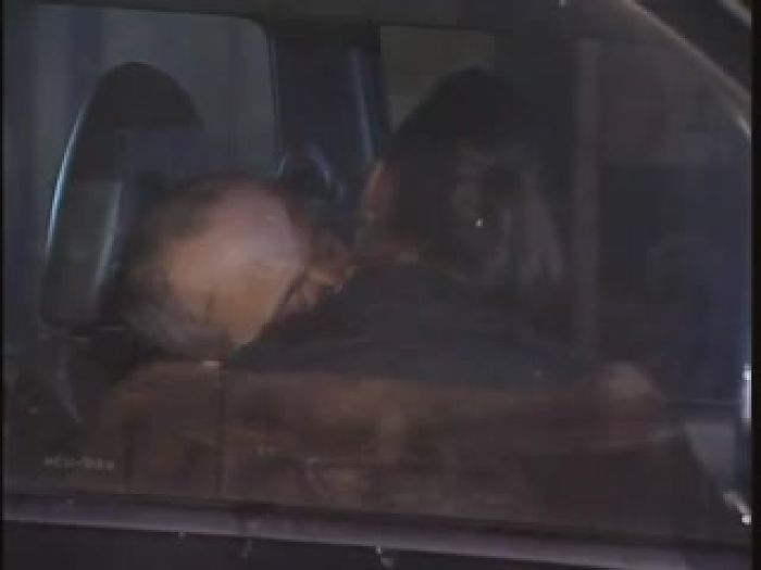 мои предпочтения