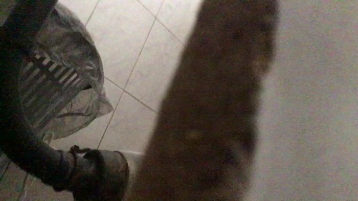 Снимаю в женском туалете