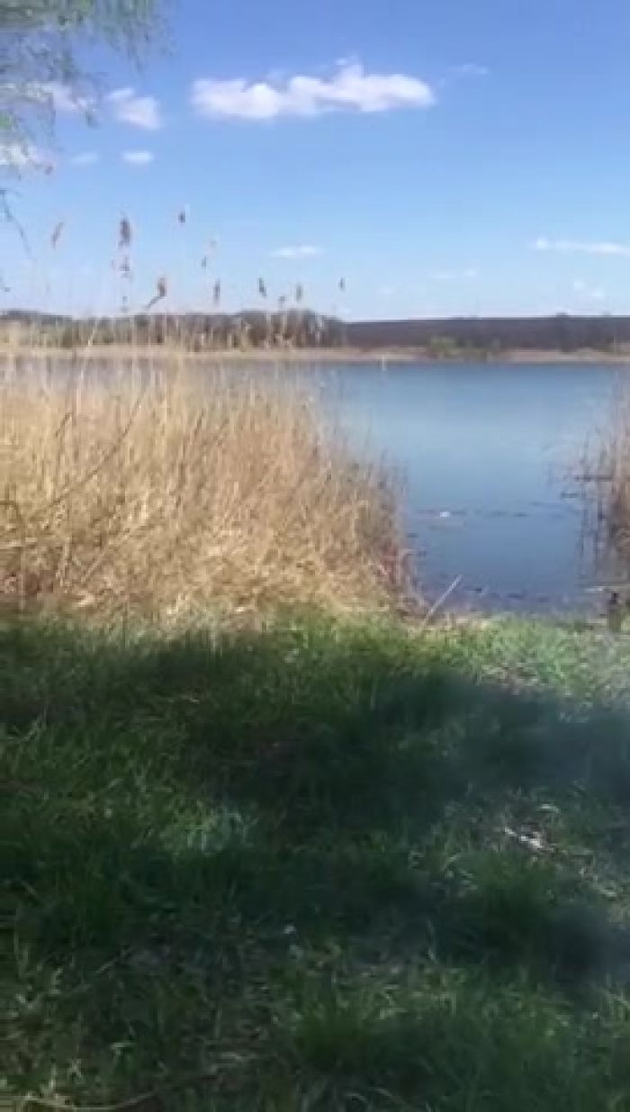 Рецепт хорошего шашлыка