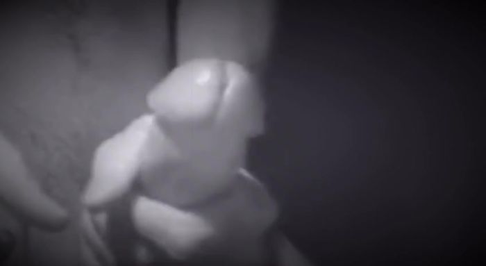 кому спермы?