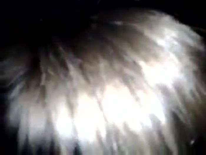 QUEEN OF COCKSUCKING