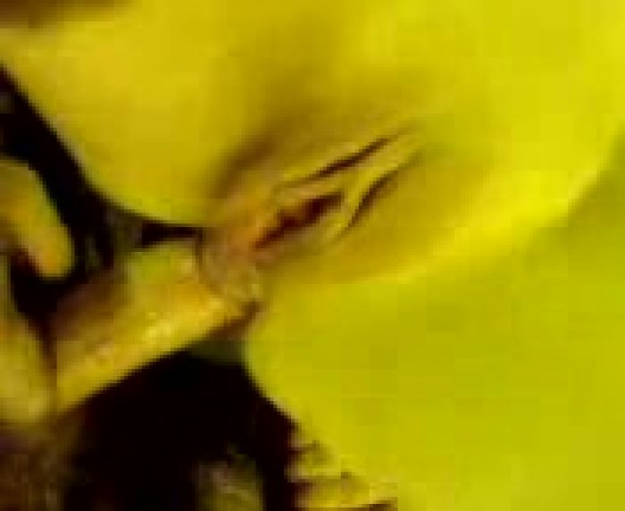 В две дырочки